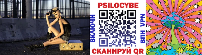 Купить закладки  Камышин  Псилоцибиновые грибы прущие грибы 